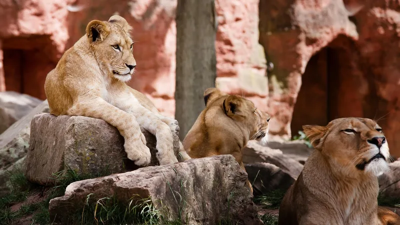 Aventures en famille
